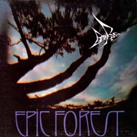 Rare Bird — Epic Forest